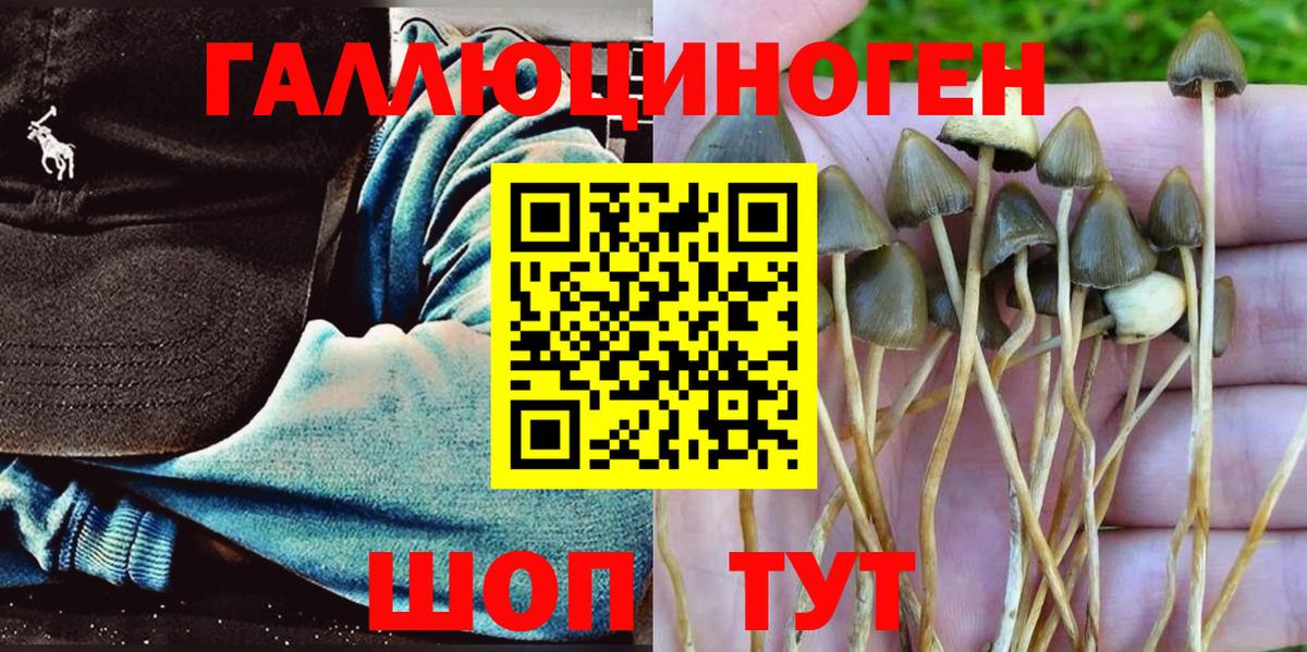 Галлюциногенные грибы мицелий  Вход с VPN  Елабуга 
