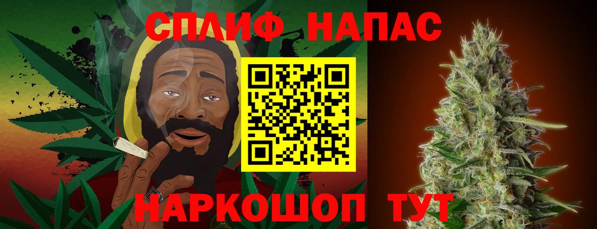 Канабис семена Елабуга